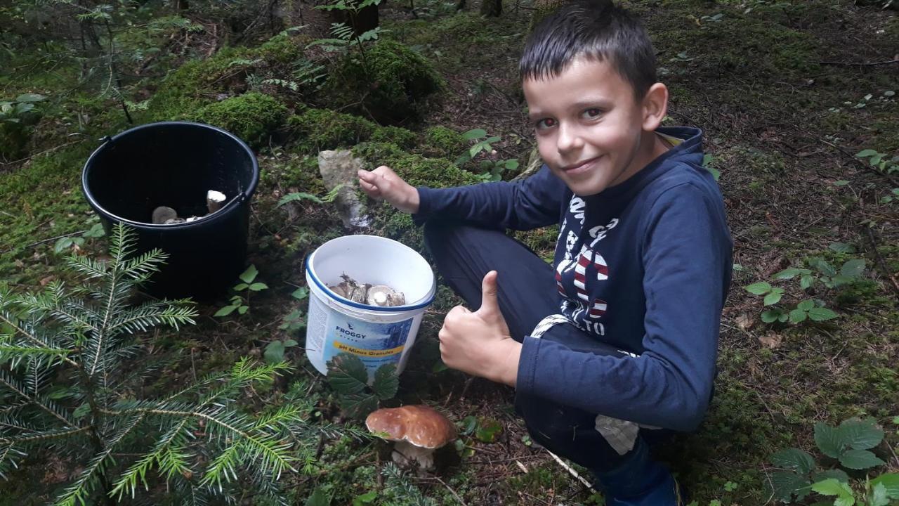 Camping Nad Karpatamy Spa Hotell Hrobyshche Exteriör bild
