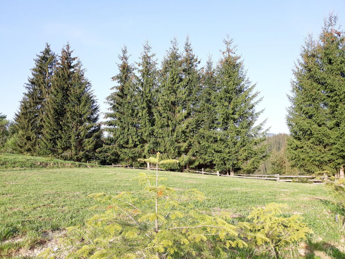 Camping Nad Karpatamy Spa Hotell Hrobyshche Exteriör bild