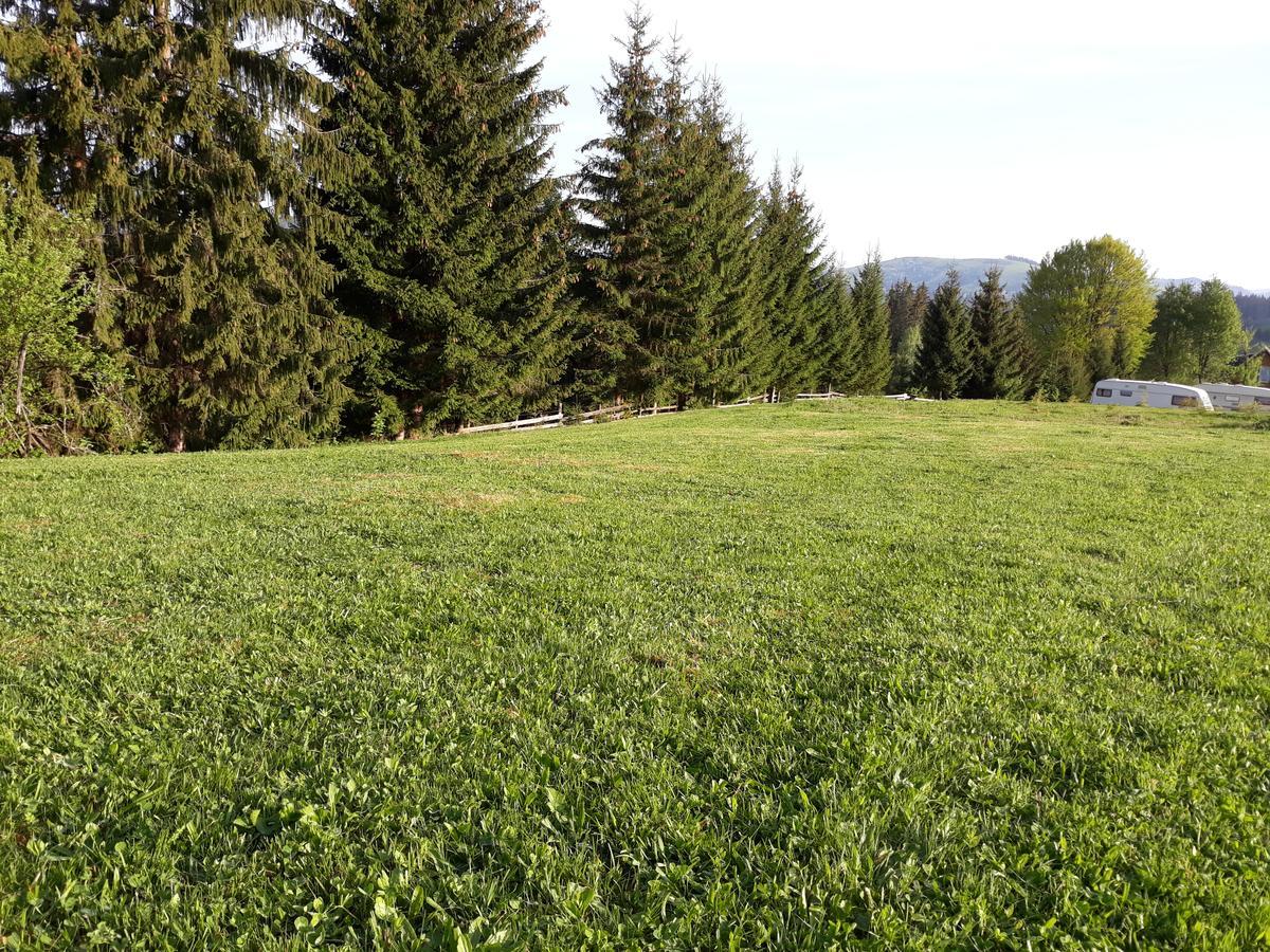 Camping Nad Karpatamy Spa Hotell Hrobyshche Exteriör bild